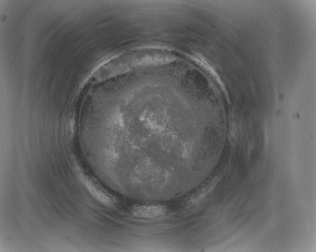 X0000081310063200701251753