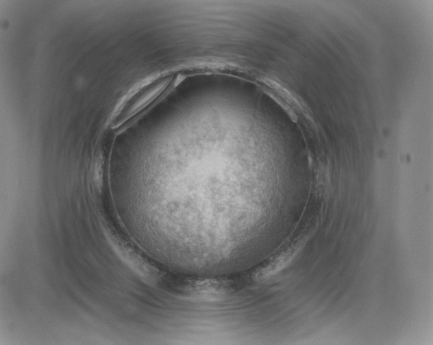 X0000081310064200701251753