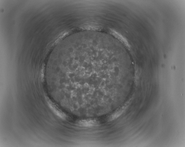 X0000081310065200701251753