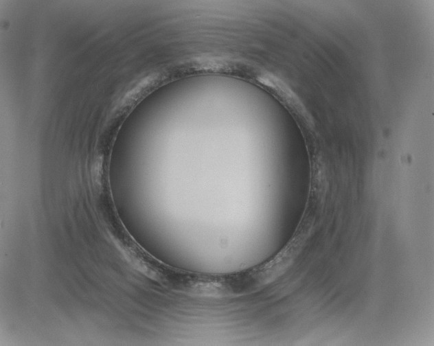 X0000081310066200701251753