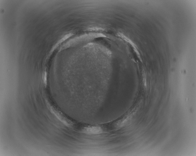 X0000081310067200701251753