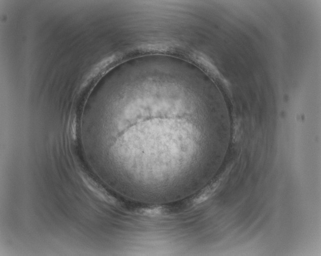 X0000081310068200701251753