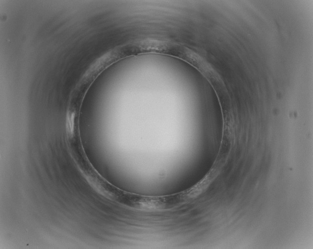 X0000081310070200701251753