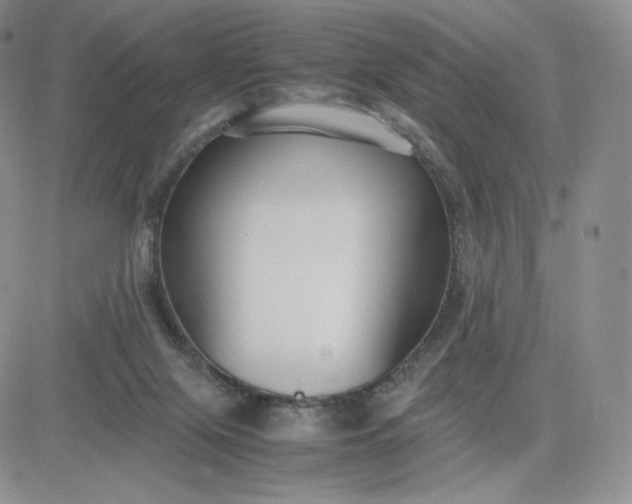 X0000081310071200701251753