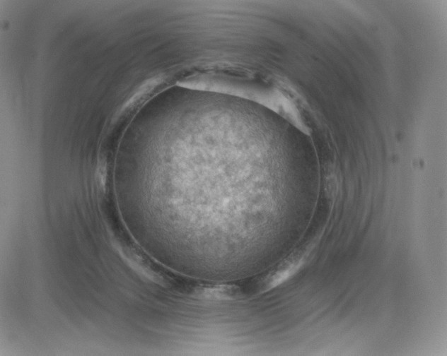 X0000081310072200701251753