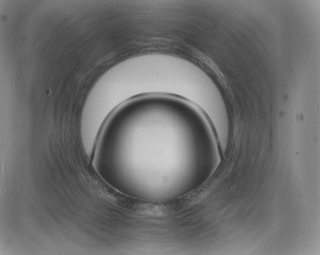 X0000081310073200701251753