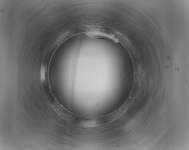 X0000081310075200701251753