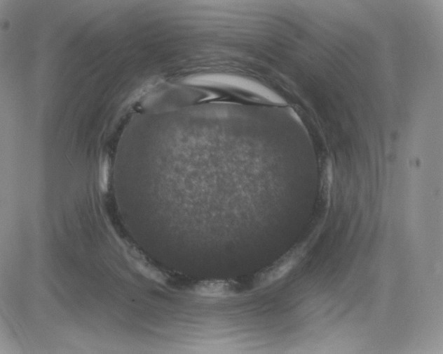 X0000081310076200701251753