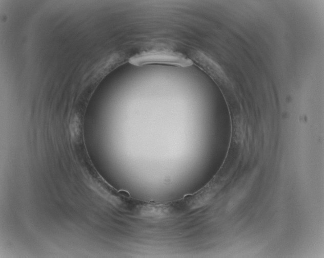 X0000081310077200701251753