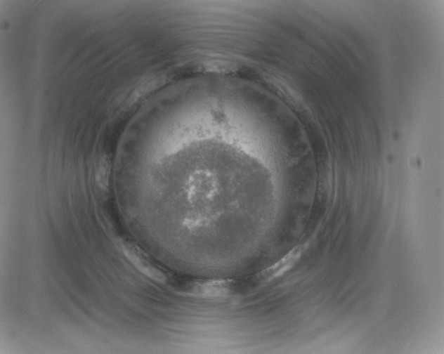 X0000081310078200701251753