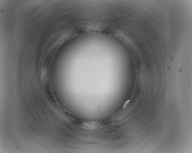 X0000081310079200701251753