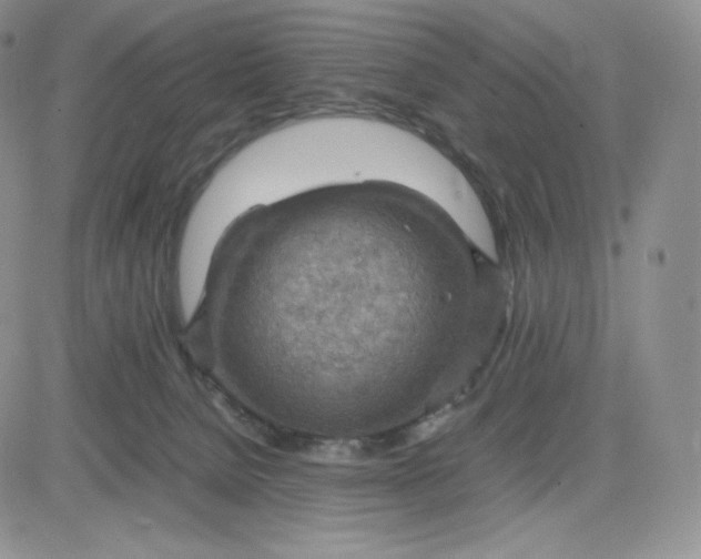 X0000081310080200701251753