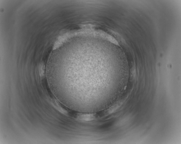 X0000081310081200701251753