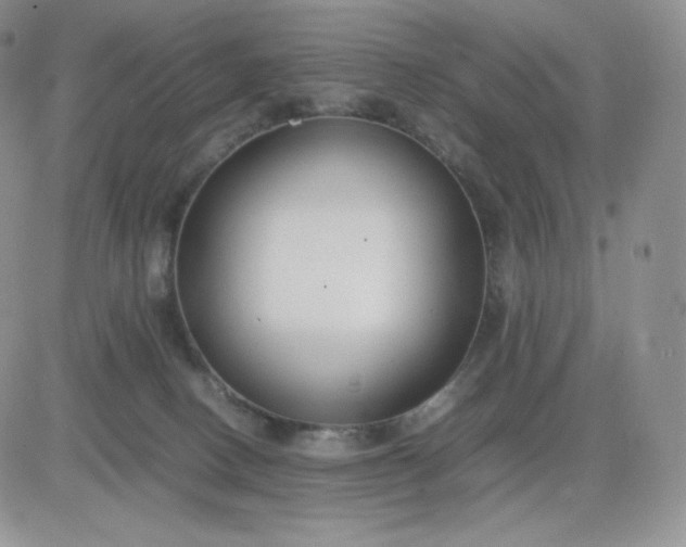 X0000081310082200701251753