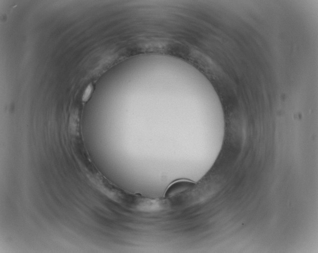 X0000081310083200701251753