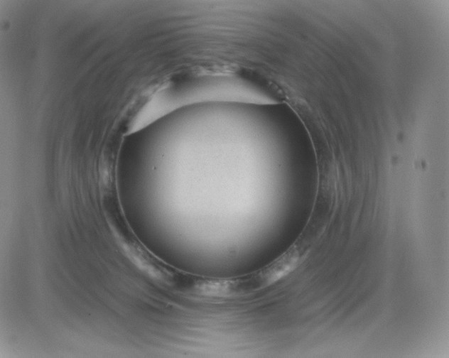 X0000081310084200701251753