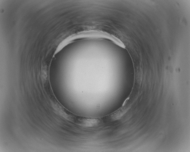 X0000081310085200701251753