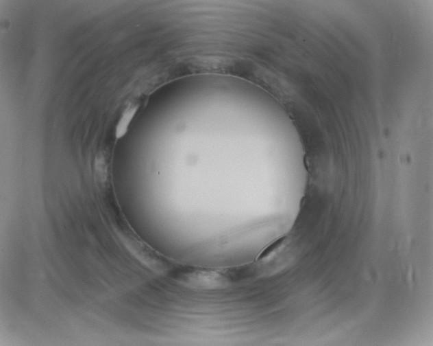 X0000081310086200701251753