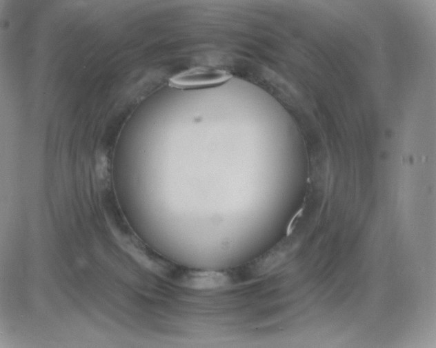 X0000081310087200701251753