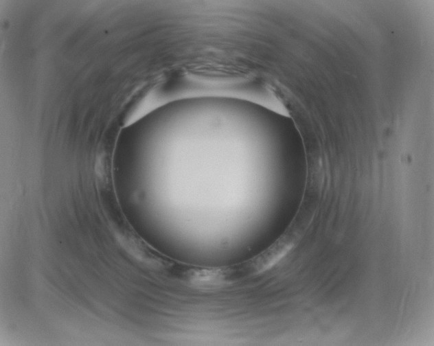 X0000081310088200701251753