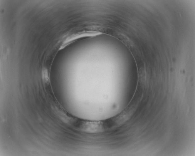 X0000081310089200701251753