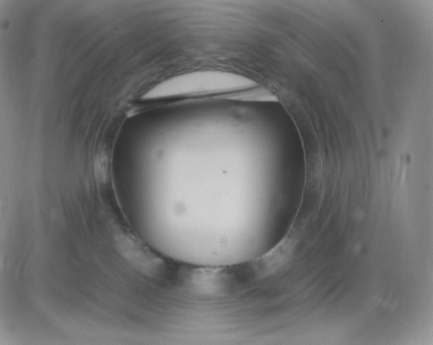 X0000081310090200701251754