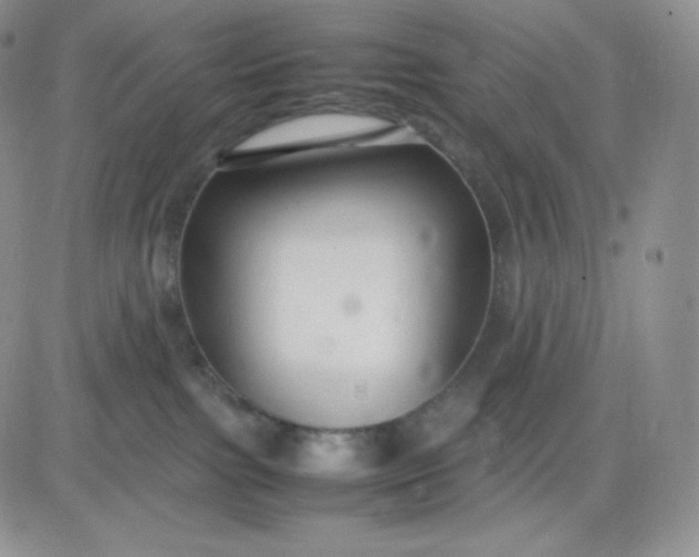 X0000081310091200701251754