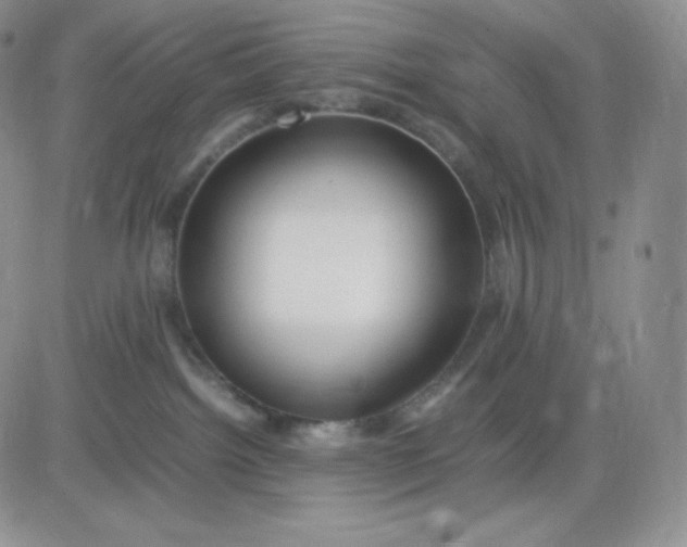 X0000081310092200701251754