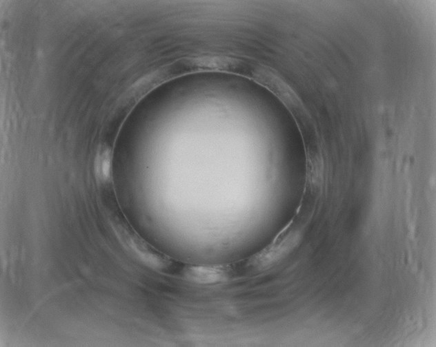 X0000081310095200701251754