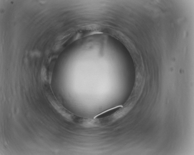 X0000081310096200701251754