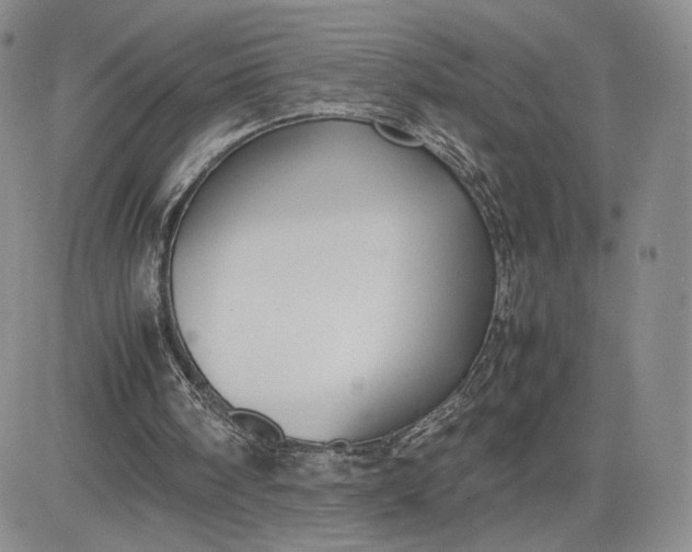 X0000081310098200701251753