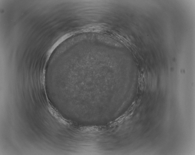 X0000081310100200701251753