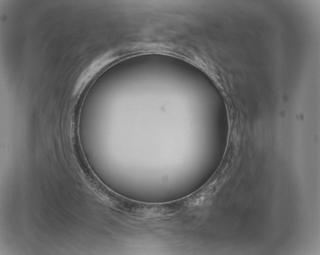 X0000081310103200701251753