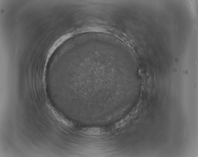 X0000081310104200701251753