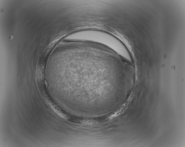 X0000081310105200701251753