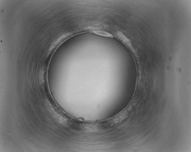 X0000081310106200701251753