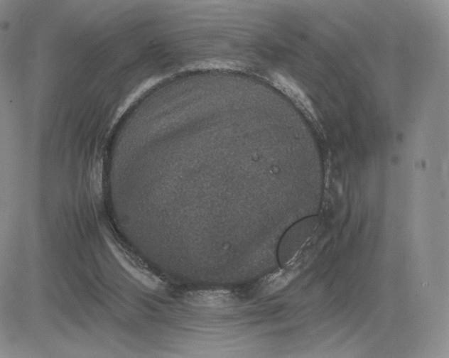 X0000081310108200701251753