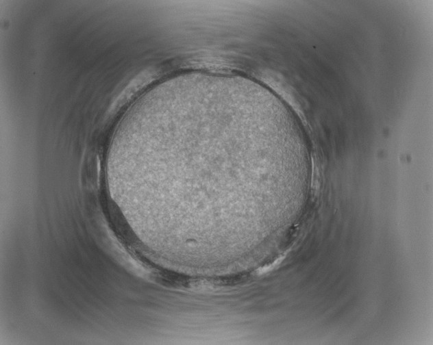 X0000081310109200701251753