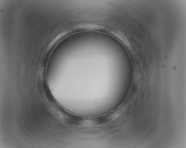 X0000081310111200701251753