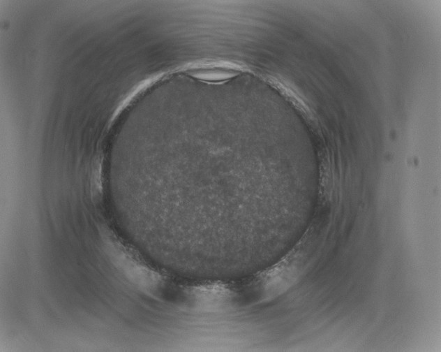 X0000081310112200701251753