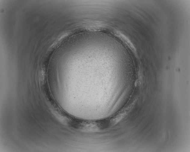 X0000081310113200701251753