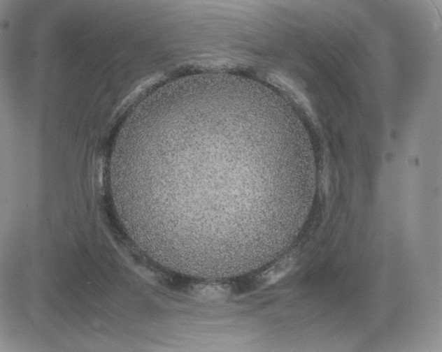 X0000081310115200701251753