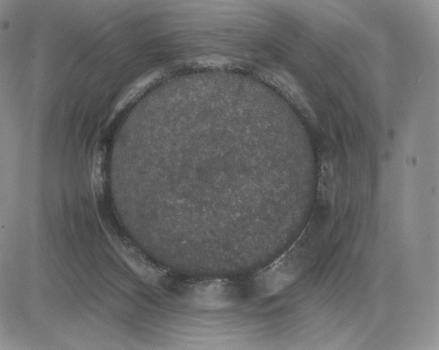 X0000081310116200701251753