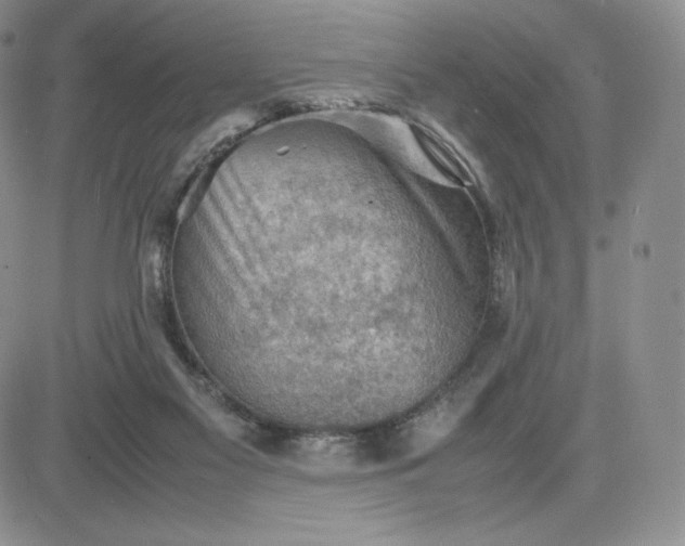 X0000081310117200701251753