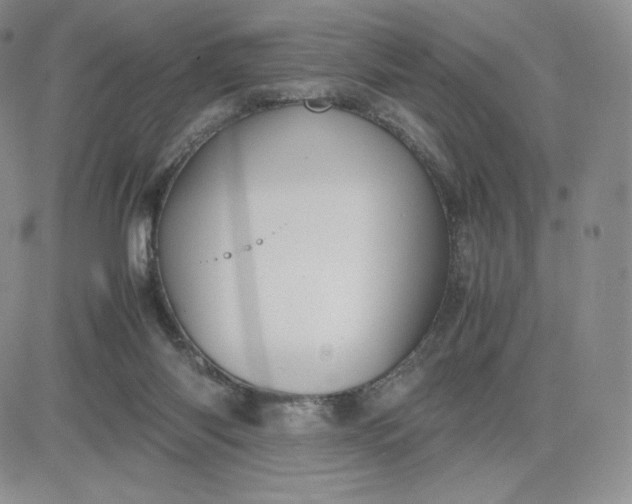 X0000081310118200701251752