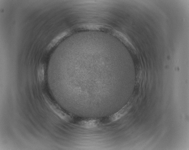 X0000081310120200701251752