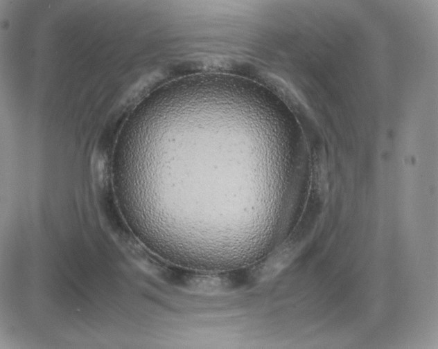 X0000081310123200701251752