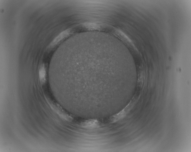 X0000081310124200701251752