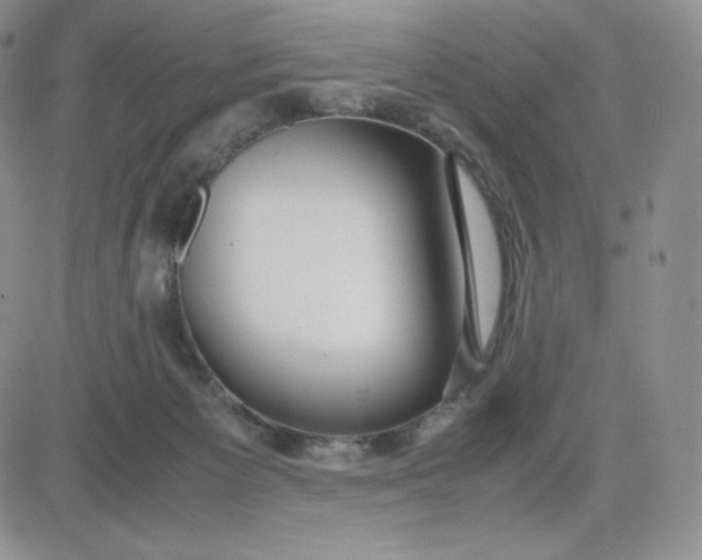 X0000081310125200701251752