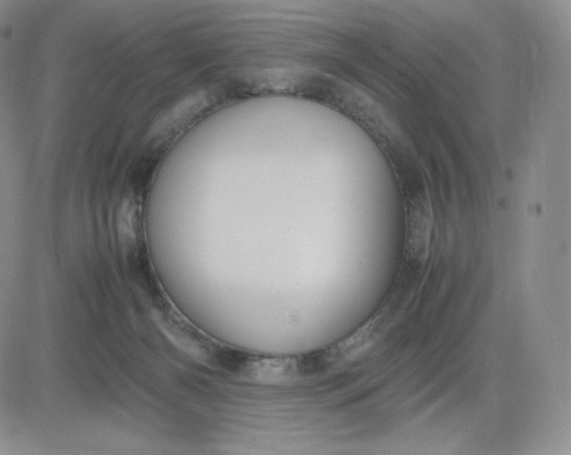 X0000081310126200701251752